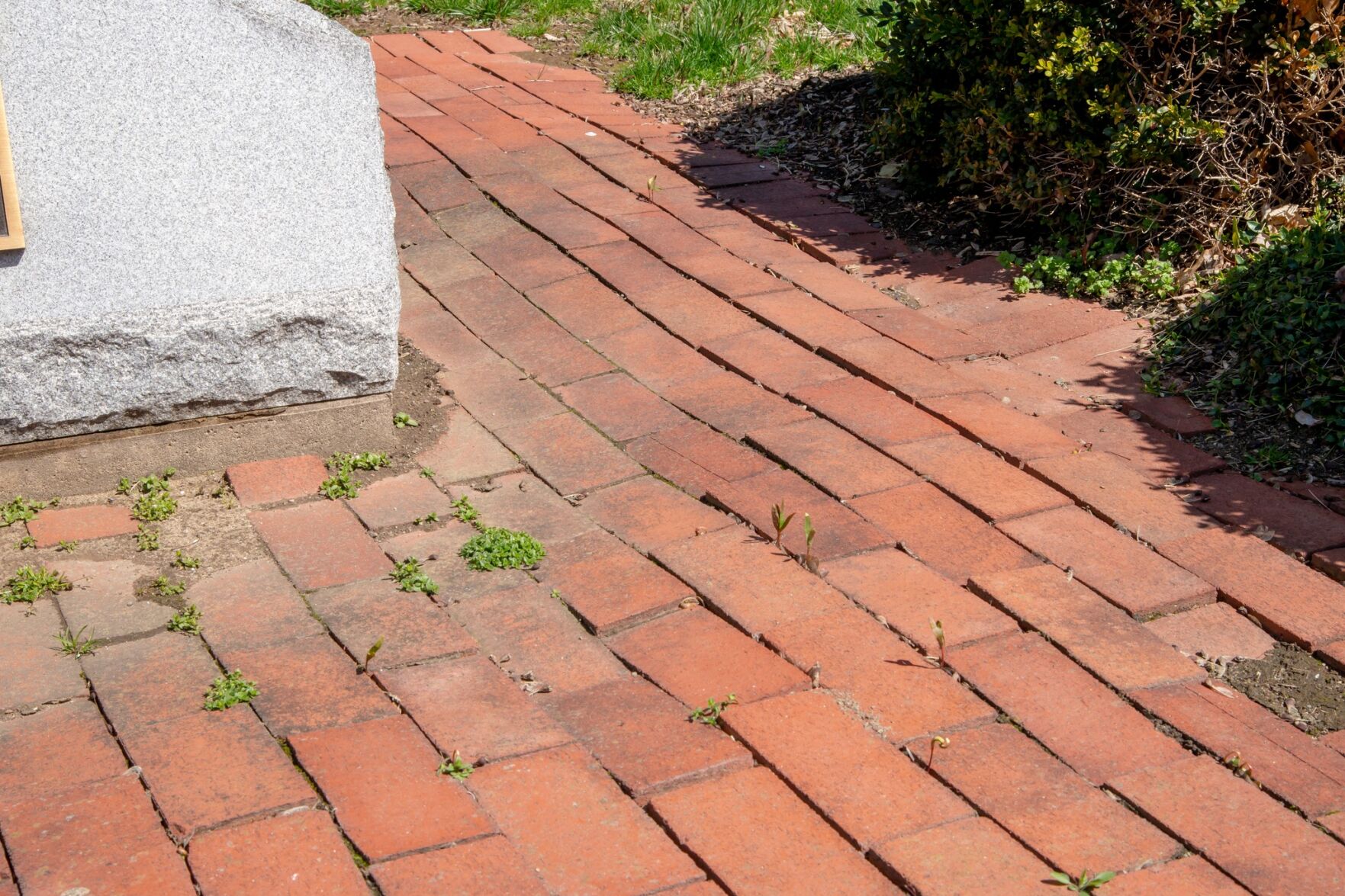 Steve Bagwell, photo showing damage to Montoursville Memorial Garden.jpg